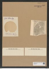 Aulacodiscus hyalinus Pant. (de-Toni-Nr.: Genus 182, Species 4496) Zeichnungen Sammlung Grunow Nr. 8060 (NHMW-BOT-W0377377)